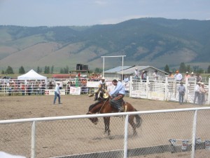 A Bucking Bronco